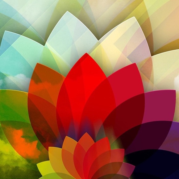 Meet your Posher, Phyllis - Picture 1 of 1